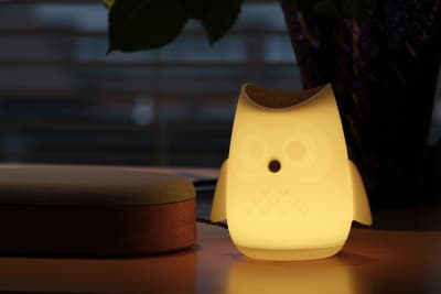Humanizing technology helps make it more accessible: Susan’s personalized owl glows in response to her voice, letting her know she is being heard and understood.