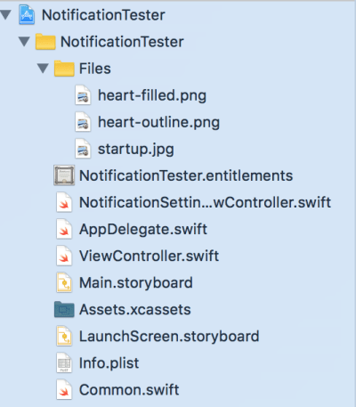 Project navigator shown in Xcode.