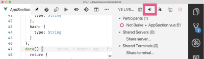 vs code live share explorer focus icon
