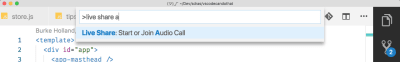 vs code command palette showing start audio call option