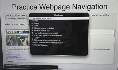 screenshot of 'Practice Webpage Navigation' VoiceOver tutoriasl screen