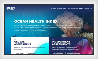 The Ocean Health Index website shows how both figure and ground can be used in web design