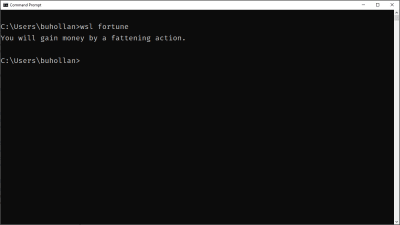 The Windows Command Line executing the Linux “fortune” program