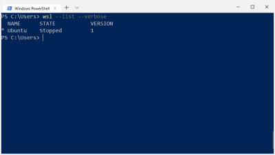 Doing a verbose list of all WSL instances running from within Powershell