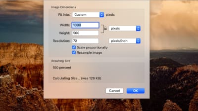 ImageKit resizing example on original Unsplash photo