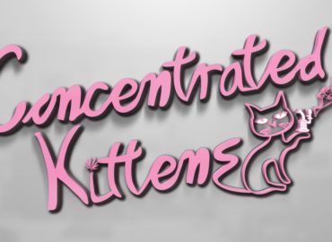 concentrated kittens