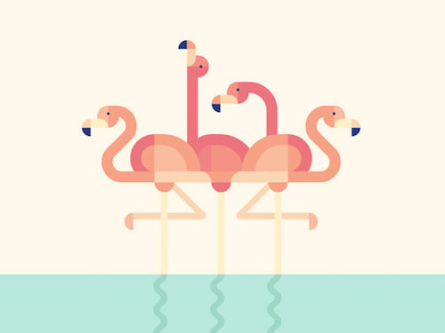 Flamingoes-big-opt
