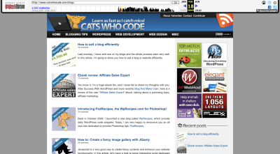 Cats Who Code website 2009