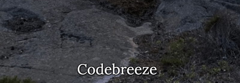 Codebreeze 2020
