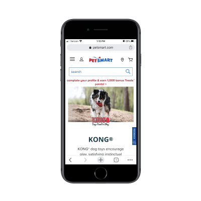 PetSmart category page for kong dog toys